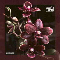 Orchids