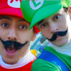 The Mario Brothers