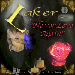 Never Love Again