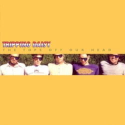 The Tops Off Our Head