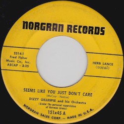 Seems Like You Just Don't Care / Play Me the Blues