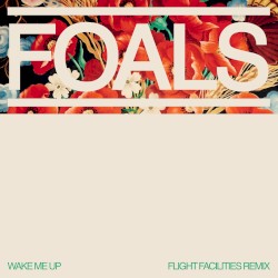 Wake Me Up (Flight Facilities remix)