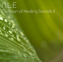 Caravan of Healing Sounds X