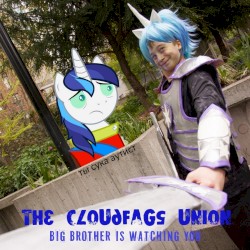 Big Brother is Watching You