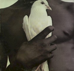 Santana’s Greatest Hits