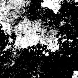 We Ache for the White of the Soil