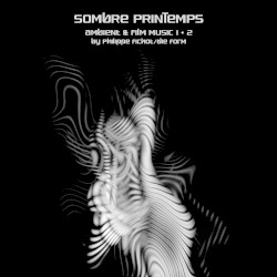 Sombre Printemps: Ambient and Film Music