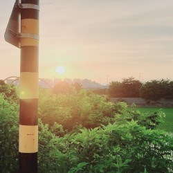 Into the Endless Night