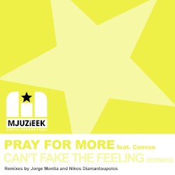 Can’t Fake the Feeling (Remixes)