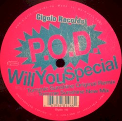 Will You Special (Tommie Sunshine Remixes)