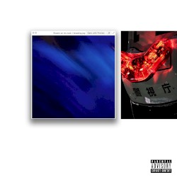 Flowers on My Neck / Breaking