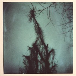 I am out of body now