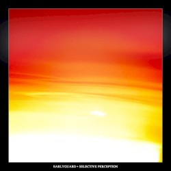 Selective Perception