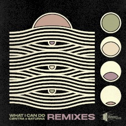What I Can Do (Remixes)
