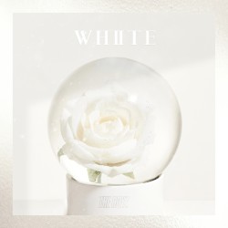화이트 (White)