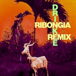 Drinkee (Ribongia remix)