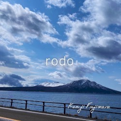 rodo