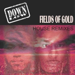 Fields of Gold (House Remixes)
