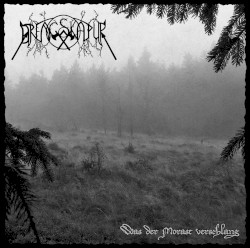 Was der Morast verschlang