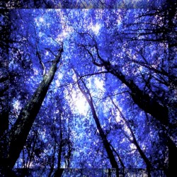 The Start Of Something New