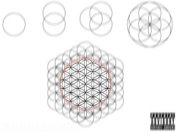 The Flower of Life