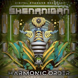 Harmonic Order