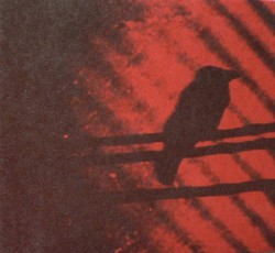 Born Into Trouble as the Sparks Fly Upward