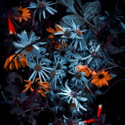 can you do that again?