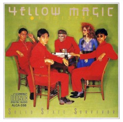 Solid State Survivor