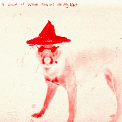 A Gust Of Wind Knocks Off My Hat