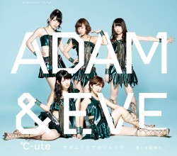 悲しき雨降り / アダムとイブのジレンマ