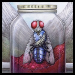 Blue Bottle in a Jam Jar