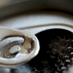 carbonated drink