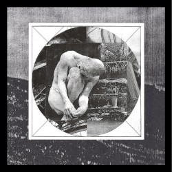 Encased in Marble/Wrapped in Roots