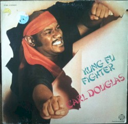 Kung Fu Fighter