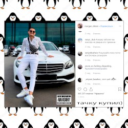 Новый Мерин