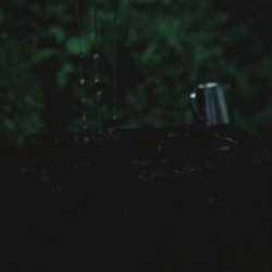 Izu Ambient 025