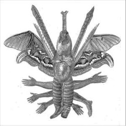 Ain’t No Hallowed Ground / Half Light Blues