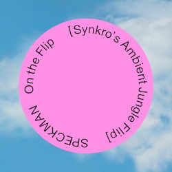 On the Flip (Synkro`s ambient jungle Flip)