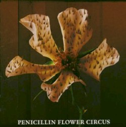 FLOWER CIRCUS