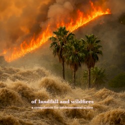 Of Landfall and Wildfires