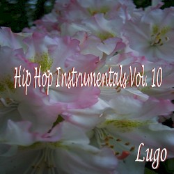 Hip Hop Instrumentals Vol. 10