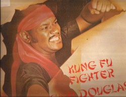 Kung Fu Fighter