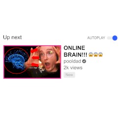 Online Brain