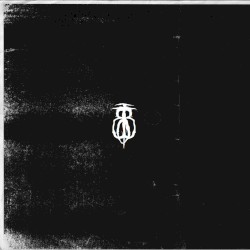 The Year of Meteor Showers