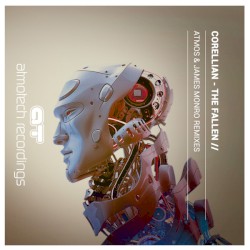 The Fallen (Remixes)