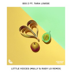 Little Voices (Mully & Ruby LO remix)