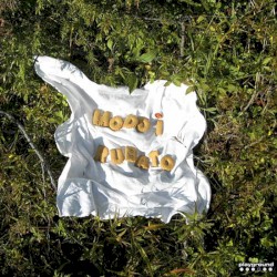 Rubato / Favors and Fields