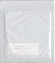 Ascension_Suspension