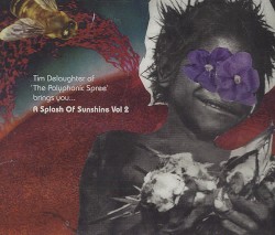 Tim Delaughter of 'The Polyphonic Spree' Brings You... A Splash of Sunshine, Volume 2